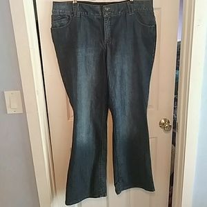 Lane Bryant Tighter Tummy Technology jeans